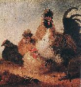 Aelbert Cuyp, Rooster